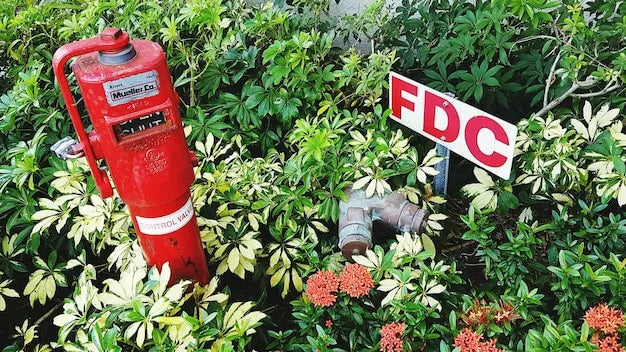 Uygun Fiyatlı Yangın Söndürücü: Kaliteden Ödün Vermeyin!